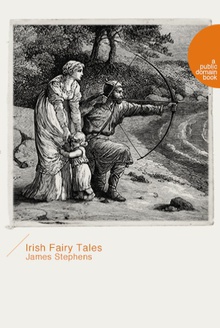 Irish Fairy Talesͯ£