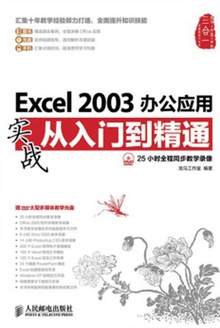 Excel 2003 칫Ӧʵսŵͨ