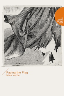 Facing the FlagԹ죩