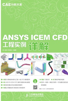 ANSYS ICEM CFDʵ